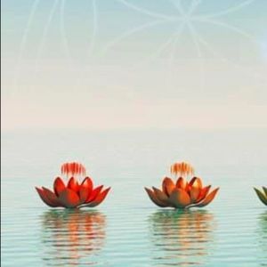 Meet your Posher, Diana